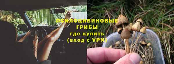 герыч Александровское