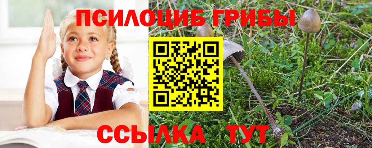Псилоцибиновые грибы Magic Shrooms Рубцовск
