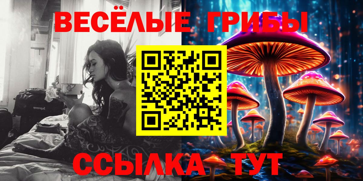 Галлюциногенные грибы Magic Shrooms  Рубцовск 